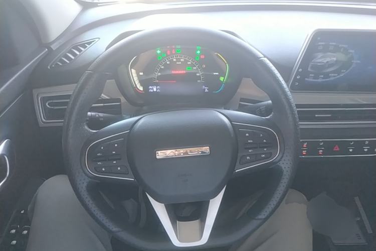 Used Dayun Yuehu 2022 30.66 kWh Two-Wheel Drive Standard Version Steering Wheel