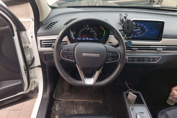 Used Dayun Yuehu 2022 30.66 kWh Two-Wheel Drive Standard Version Steering Wheel