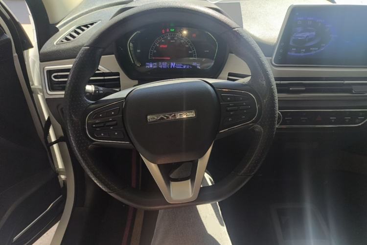Used Dayun Yuehu 2022 30.66 kWh Two-Wheel Drive Standard Version Steering Wheel