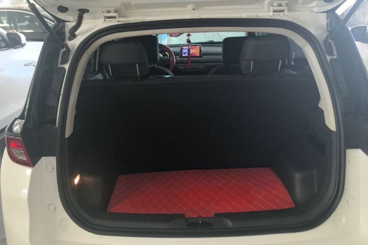 Used Dayun Yuehu 2022 300 Standard Edition Trunk