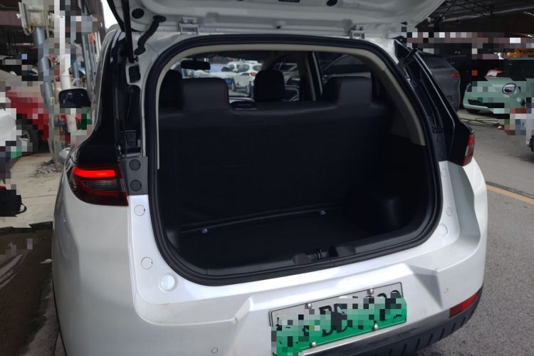 Used Dayun Yuehu 2022 30.66 kWh Two-Wheel Drive VIP Edition Trunk