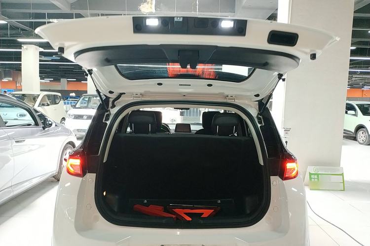 Used Dayun Yuehu 2022 300 Standard Edition Trunk