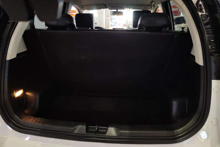 Used Dayun Yuehu 2022 Two-Wheel Drive Enjoyment Edition Trunk