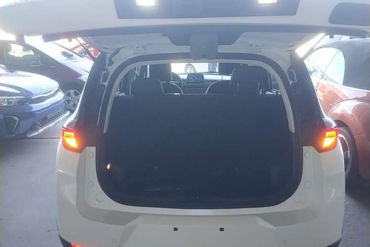 Used Dayun Yuehu 2022 30.66 kWh Two-Wheel Drive Standard Version Trunk