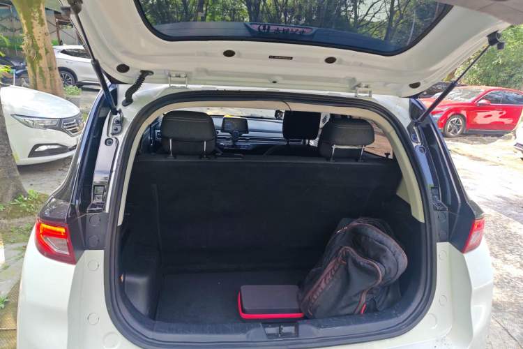 Used Dayun Yuehu 2022 300 Standard Edition Trunk