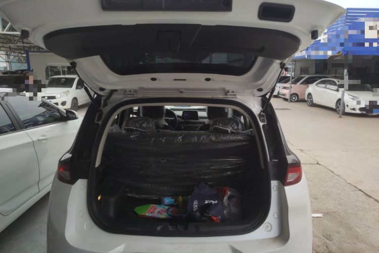 Used Dayun Yuehu 2022 300 Standard Edition Trunk