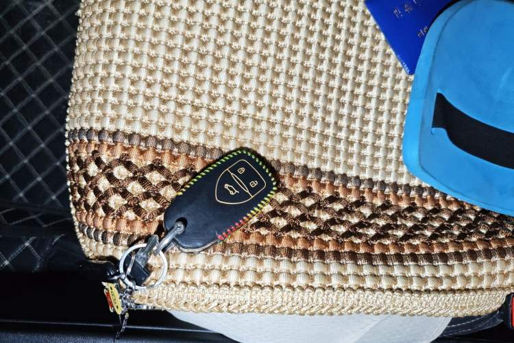 Used Dayun Yuehu 2022 30.66 kWh Two-Wheel Drive Standard Version Vehicle Key