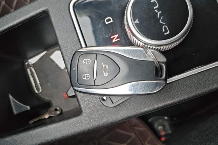 Used Dayun Yuehu 2022 30.66 kWh Two-Wheel Drive Standard Version Vehicle Key