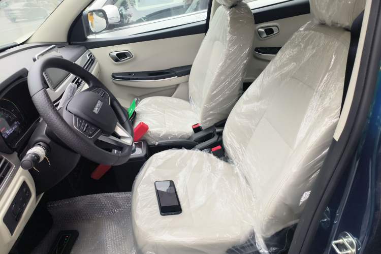 Used Dayun Yuehu 2023 230 Standard Edition Left Front Seat