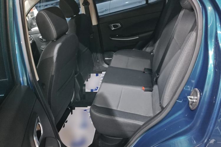 Used Dayun Yuehu 2023 300 Standard Edition Left Rear Seat