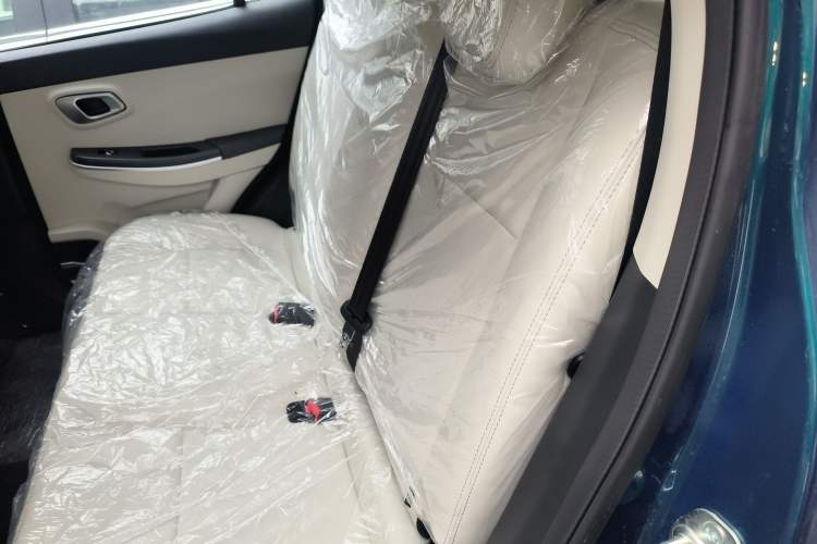 Used Dayun Yuehu 2023 230 Standard Edition Left Rear Seat