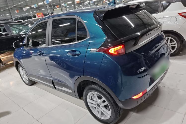 Used Dayun Yuehu 2023 300 Standard Edition Left Side