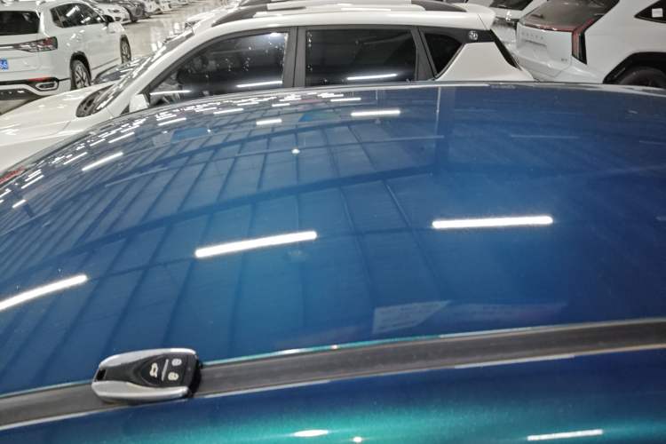 Used Dayun Yuehu 2023 300 Standard Edition Roof