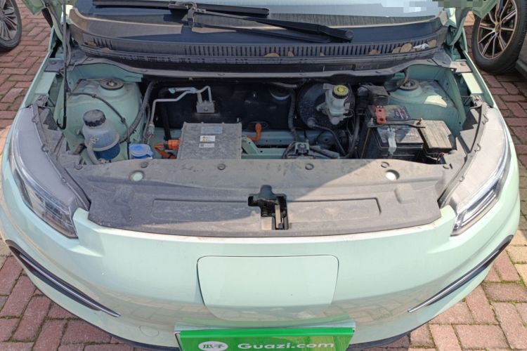 Used Dayun Yuehu 2023 300 Standard Edition Engine Bay