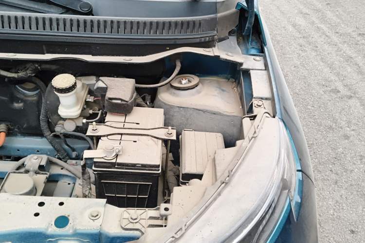 Used Dayun Yuehu 2023 300 Standard Edition Engine Bay Left