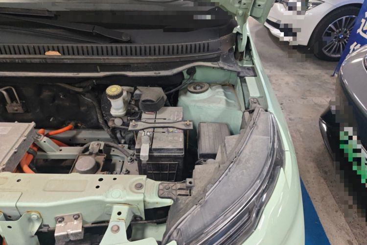 Used Dayun Yuehu 2023 300 Standard Edition Engine Bay Left