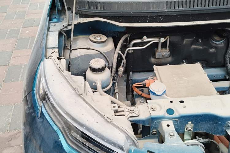 Used Dayun Yuehu 2023 300 Standard Edition Engine Bay Right