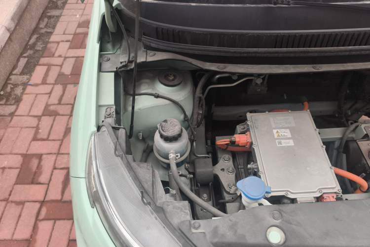 Used Dayun Yuehu 2023 300 Standard Edition Engine Bay Right