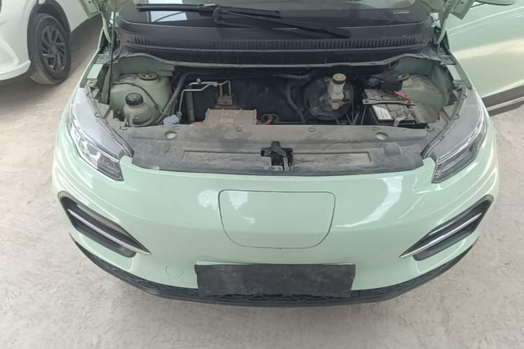 Used Dayun Yuehu 2023 230 Standard Edition Engine Bay