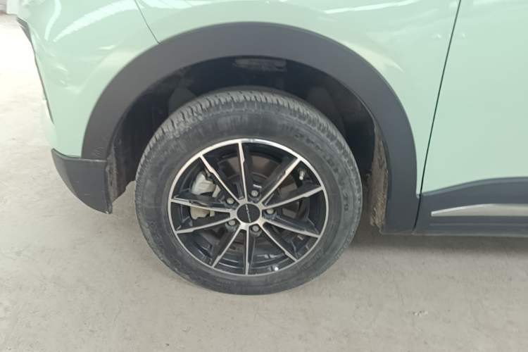 Used Dayun Yuehu 2023 230 Standard Edition Exterior 4