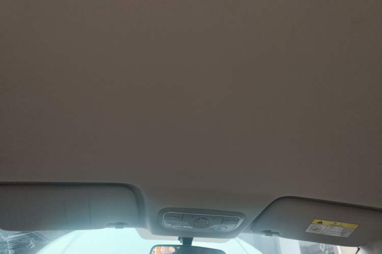 Used Dayun Yuehu 2023 300 Standard Edition Headliner