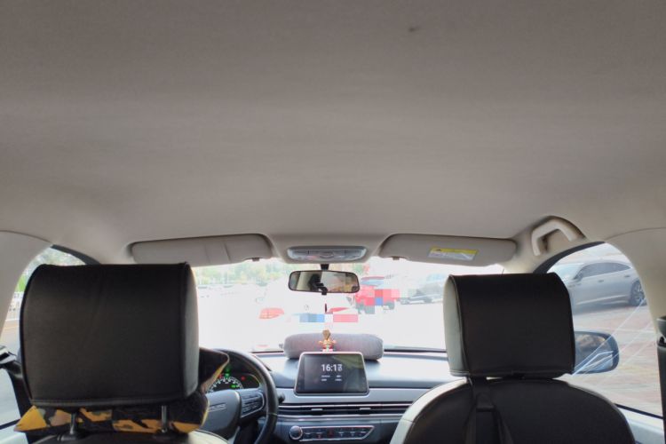 Used Dayun Yuehu 2023 300 Standard Edition Headliner