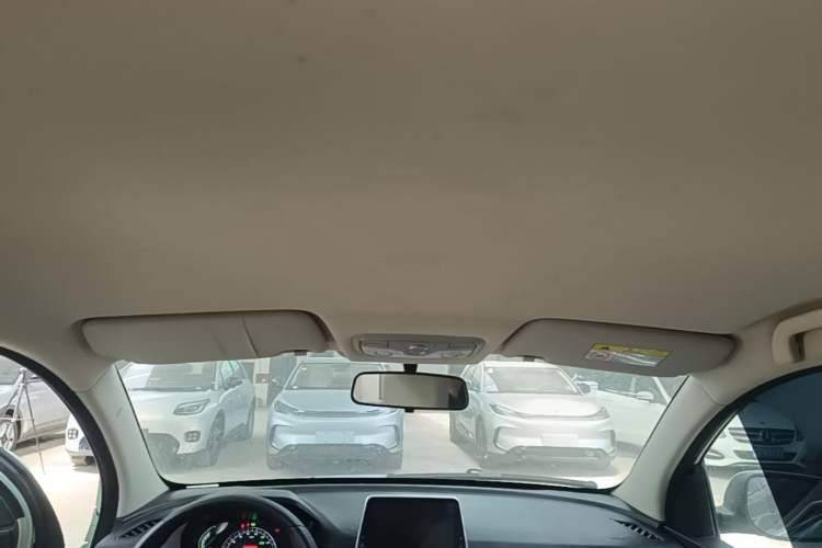 Used Dayun Yuehu 2023 230 Standard Edition Headliner