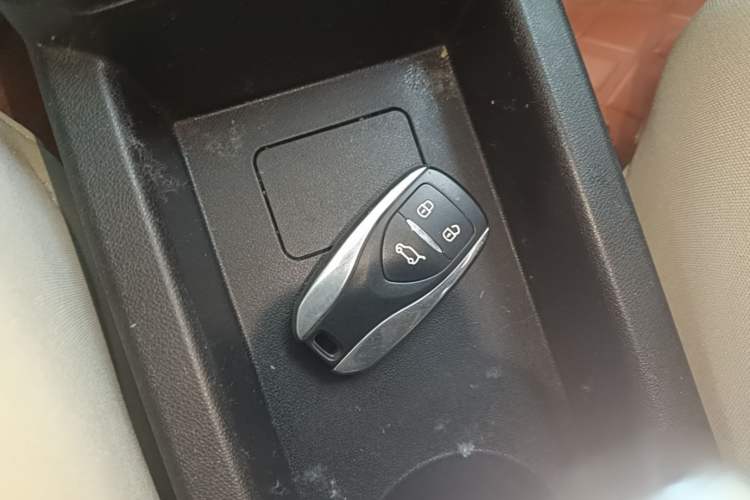 Used Dayun Yuehu 2023 230 Standard Edition Interior 1