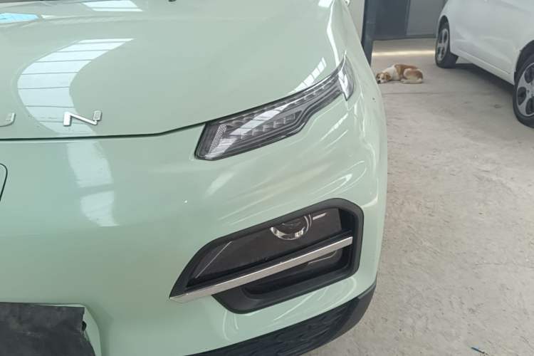 Used Dayun Yuehu 2023 230 Standard Edition Left Front Headlight