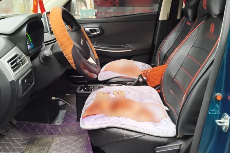 Used Dayun Yuehu 2023 300 Standard Edition Left Front Seat