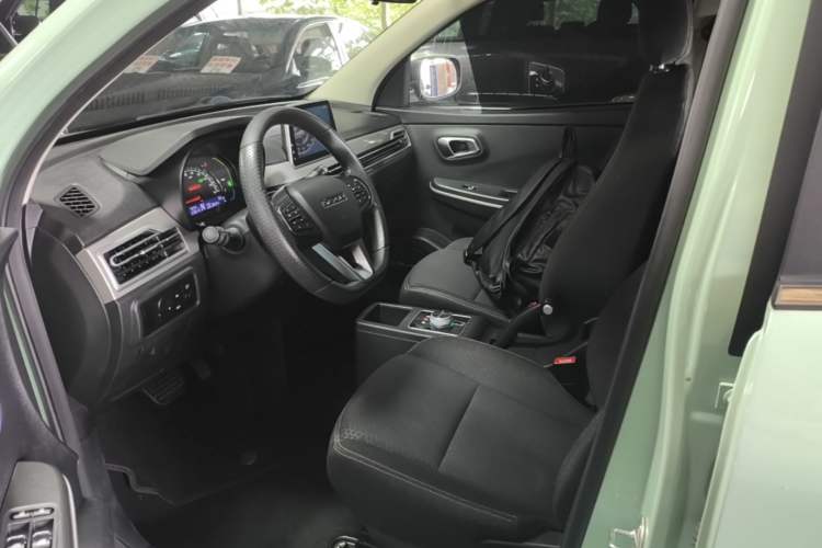 Used Dayun Yuehu 2023 300 Standard Edition Left Front Seat