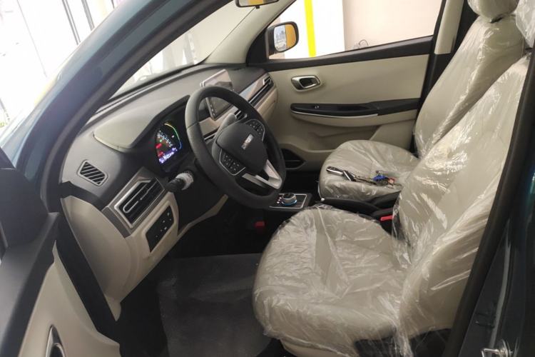 Used Dayun Yuehu 2023 230 Standard Edition Left Front Seat