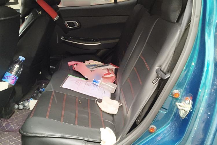 Used Dayun Yuehu 2023 300 Standard Edition Left Rear Seat