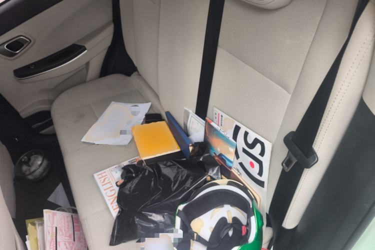 Used Dayun Yuehu 2023 300 Standard Edition Left Rear Seat