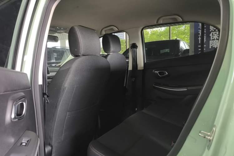 Used Dayun Yuehu 2023 300 Standard Edition Left Rear Seat