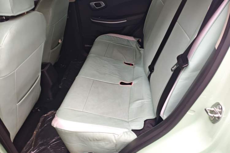 Used Dayun Yuehu 2023 330 Standard Edition Left Rear Seat