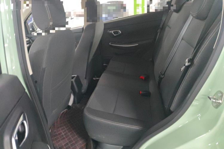 Used Dayun Yuehu 2023 300 Standard Edition Left Rear Seat