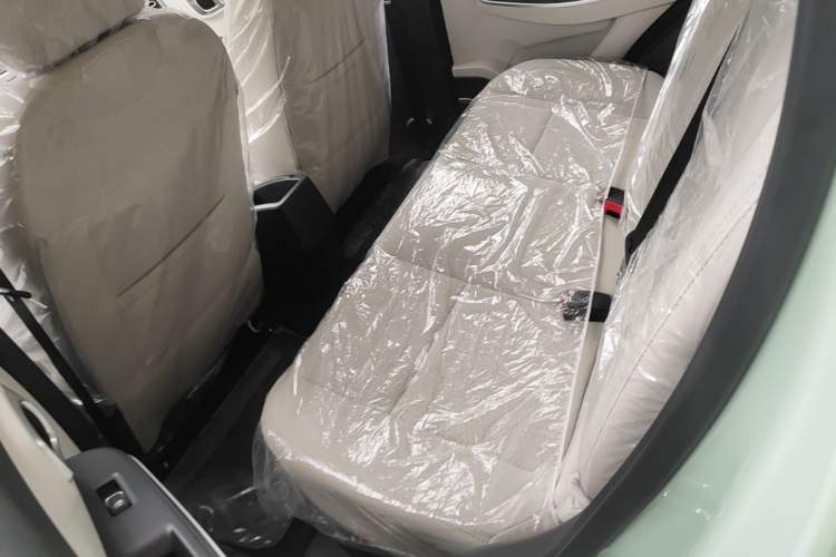 Used Dayun Yuehu 2023 230 Standard Edition Left Rear Seat
