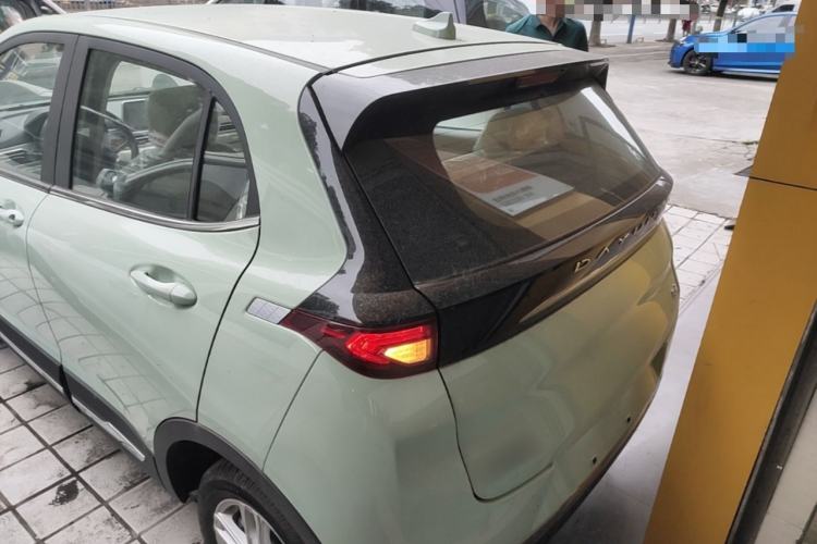 Used Dayun Yuehu 2023 230 Standard Edition Rear