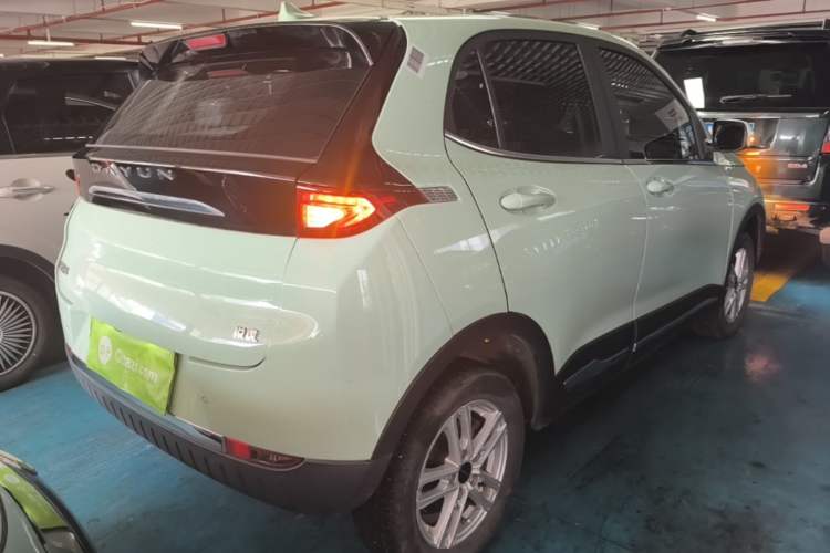 Used Dayun Yuehu 2023 300 Standard Edition Rear Right 45 Deg