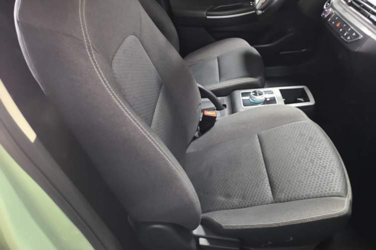 Used Dayun Yuehu 2023 300 Standard Edition Right Front Seat