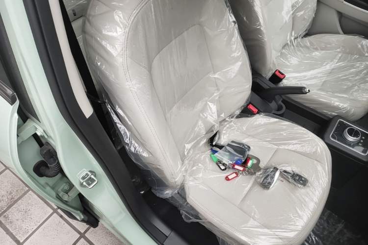 Used Dayun Yuehu 2023 230 Standard Edition Right Front Seat