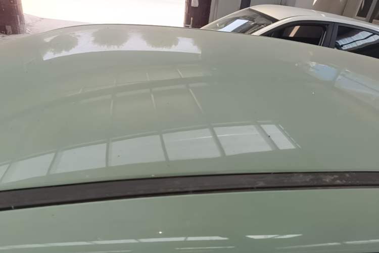 Used Dayun Yuehu 2023 230 Standard Edition Roof
