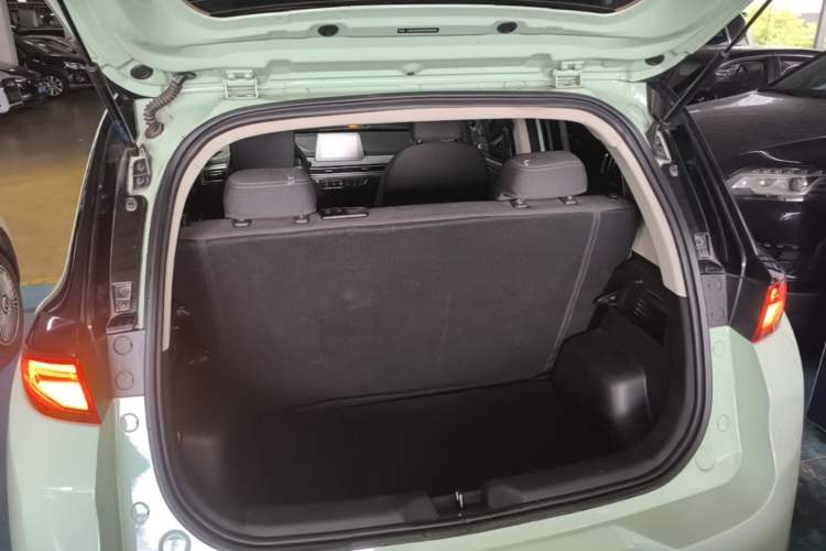 Used Dayun Yuehu 2023 300 Standard Edition Trunk