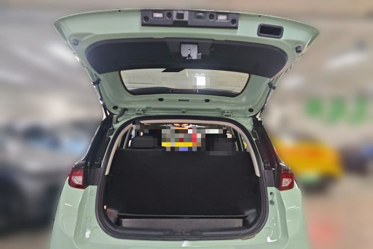 Used Dayun Yuehu 2023 300 Standard Edition Trunk
