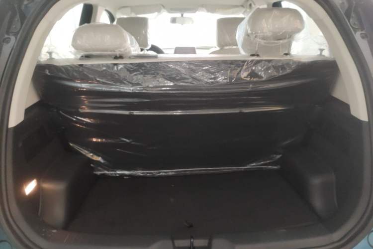 Used Dayun Yuehu 2023 230 Standard Edition Trunk