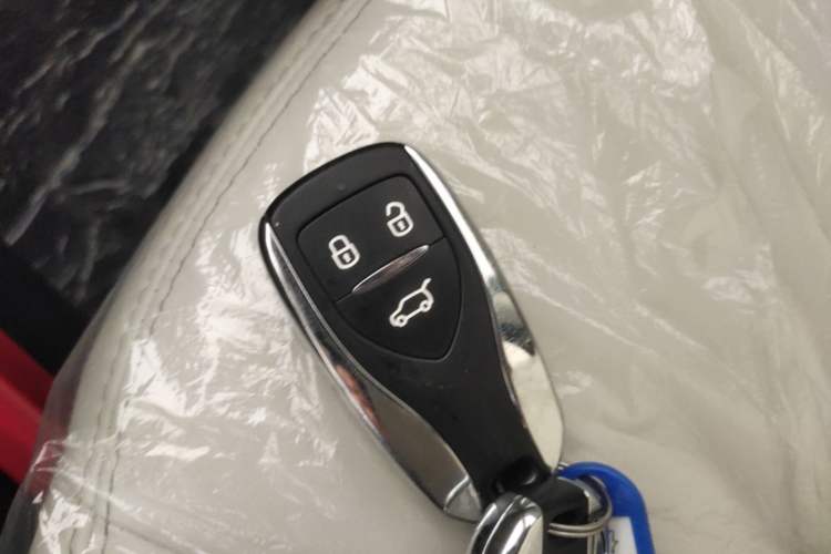 Used Dayun Yuehu 2023 230 Standard Edition Vehicle Key