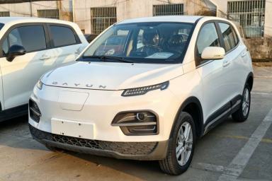Used Dayun Yuehu 2023 300 Standard Edition