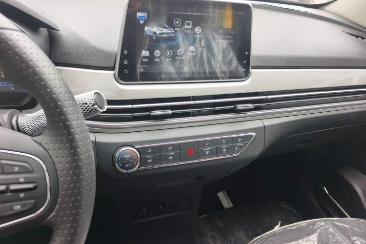 Used Dayun Yuehu 2023 300 Standard Edition Audio And AC Panel