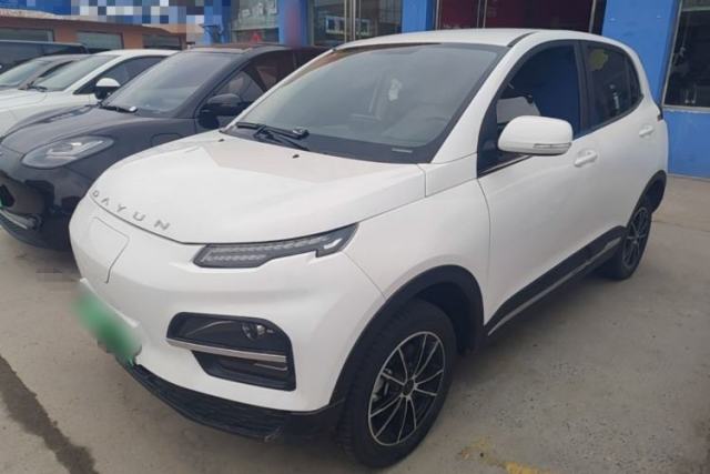 Used Dayun Yuehu 2023 230 Standard Edition